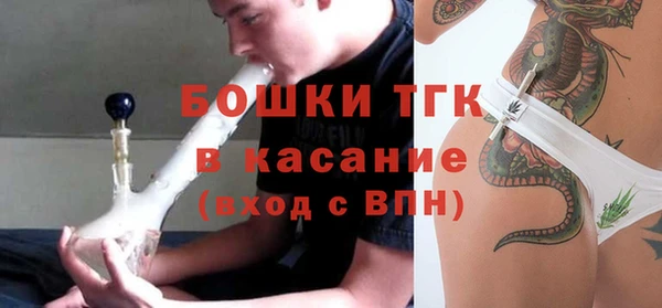 крисы Алексин