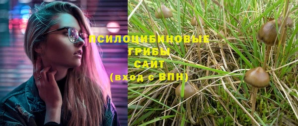 амф Алексеевка