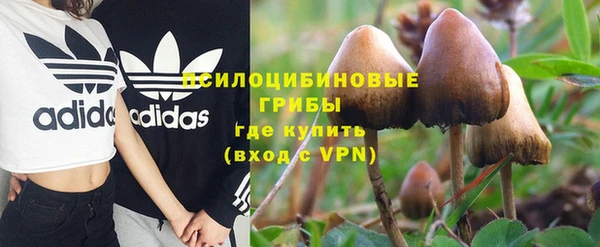 амф Алексеевка
