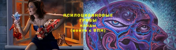 крисы Алексин